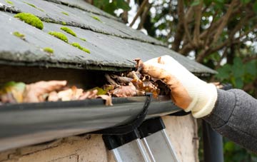 gutter cleaning Westwood